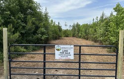 01 Pine Hill Church Road, Waynesboro, GA 30830