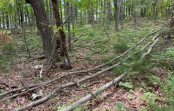 Garden Dr, Siren, WI 54872