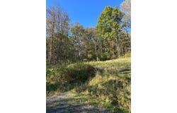 Barcus Rd, Grafton, WV 26354