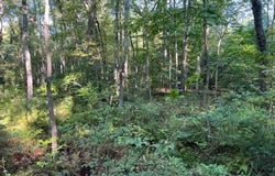 CHILESBURG ROAD, BEAVERDAM, VA 23015