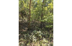 County Road 421, Birch Tree, MO 65438