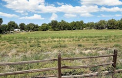 2590 Galley Lane, Grand Junction, CO 81505