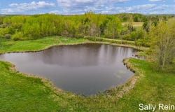9 Mile Road, Reed City, MI 49677