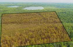 Off Big Cut Highway, Millersburg, MI 49759