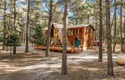 50 Knollwood Way, Angel Fire, NM 87710