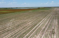 338 Acres FM 617, No City, TX 79521