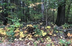 673 Alcove Road, New Baltimore, NY 12124