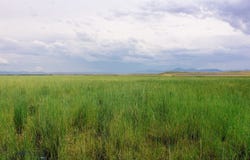 Muddy Creek Ranch, Cascade, MT 59421