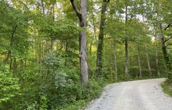Carson Town Rd, Sunbright, TN 37872
