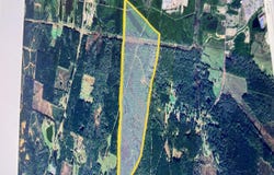 Rd 2434, Philadelphia, MS 39301
