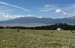 344 Cherokee Trl, Westcliffe, CO 81252