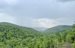 7040 Fallen Timber Lane, Crawford, TN 38554