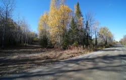 464 Moose Brook Road, Ludlow, ME 04730