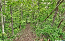 400 Northfield Road, Thomaston, CT 06787