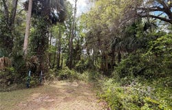 COUNTY ROAD 445A, ASTOR, FL 32102