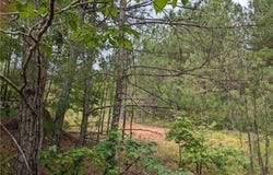 7900 Downs, Winston, GA 30187
