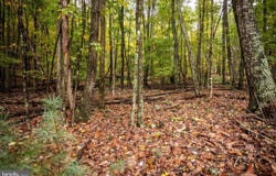 0 DRY RUN ROAD, SUGAR GROVE, WV 26815