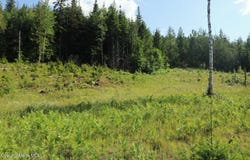 NKA Slippery Slope Trail, Priest River, ID 83856