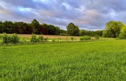 1526 Phyllis Drive Drive, Berea, KY 40403