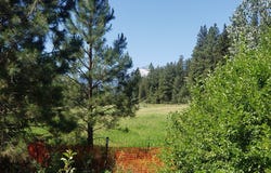 141 Lick Creek Road, Hamilton, MT 59840