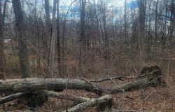 LAKESHORE CIR, BUMPUS MILLS, TN 37028