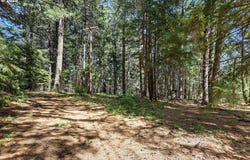 101 COOKE RD, White Salmon, WA 98672