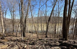 L5 1126 Thomason Cemetery Rd, Leitchfield, KY 42754