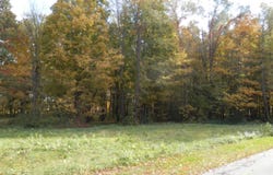 21 Harlan Drive, Watervliet, MI 49098