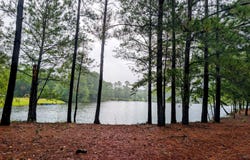 7961 Lucinda Lane, Linden, NC 28356