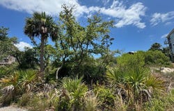 Lot 19 Turnstone Dr, Cape San Blas, FL 32456
