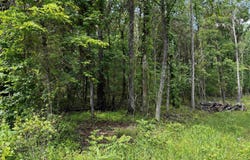 00 Gold Hill Road, Atkins, AR 72823
