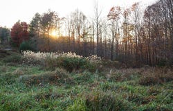 Pridemoore Rd. lot: 9, Galax, VA 24333