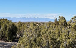 78 Turquoise Drive, Sandia Park, NM 87047