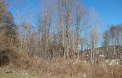 ROUTE 40 Road, ECKHART MINES, MD 21528