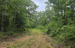 Tbd County Road 481w, Cross Timbers, MO 65634
