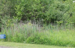0 Bischoff Ln, Beekman, NY 12533