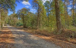 Lot 6 Melvin Lane, Dover, AR 72837