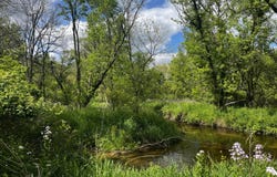 5650 Morrison Lake Road, Saranac, MI 48881
