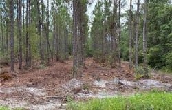 0 (lot 1) Corbitt Road, Manor, GA 31550