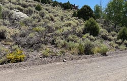 352 Meadow Lark DR, Panguitch, UT 84759