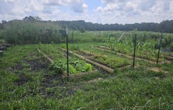 18896 Highway H, Elk Creek, MO 65464