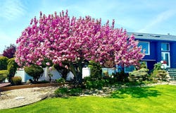 3434 Elliott Boulevard, Oceanside, NY 11572