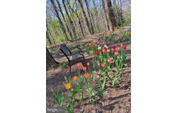 1738 SHANWICK ROAD, FOREST HILL, MD 21050