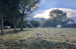 141 Featherston St, Waldron, AR 72958