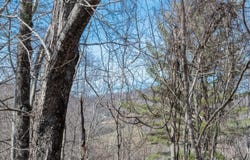 RIVER BREEZE Drive unit: 2, Creston, NC 28615