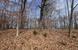 LOT 10 BINNACLE DR, Moneta, VA 24121