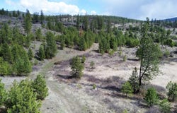 7XX OLD ARDEN HWY, COLVILLE, WA 99114