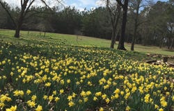 000 State HWY 22, Rockford, AL 35136