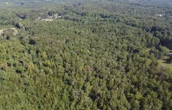 22.5 Acs Dream Lane, Palmyra, VA 22963