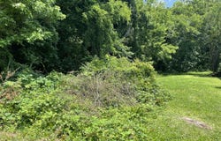 318 Walker Street, Roxboro, NC 27573